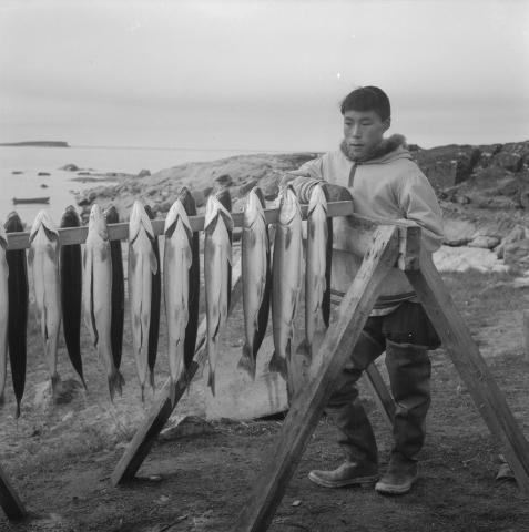 Inuk debout à côté d’une claie de séchage d’ombles de l’Arctique